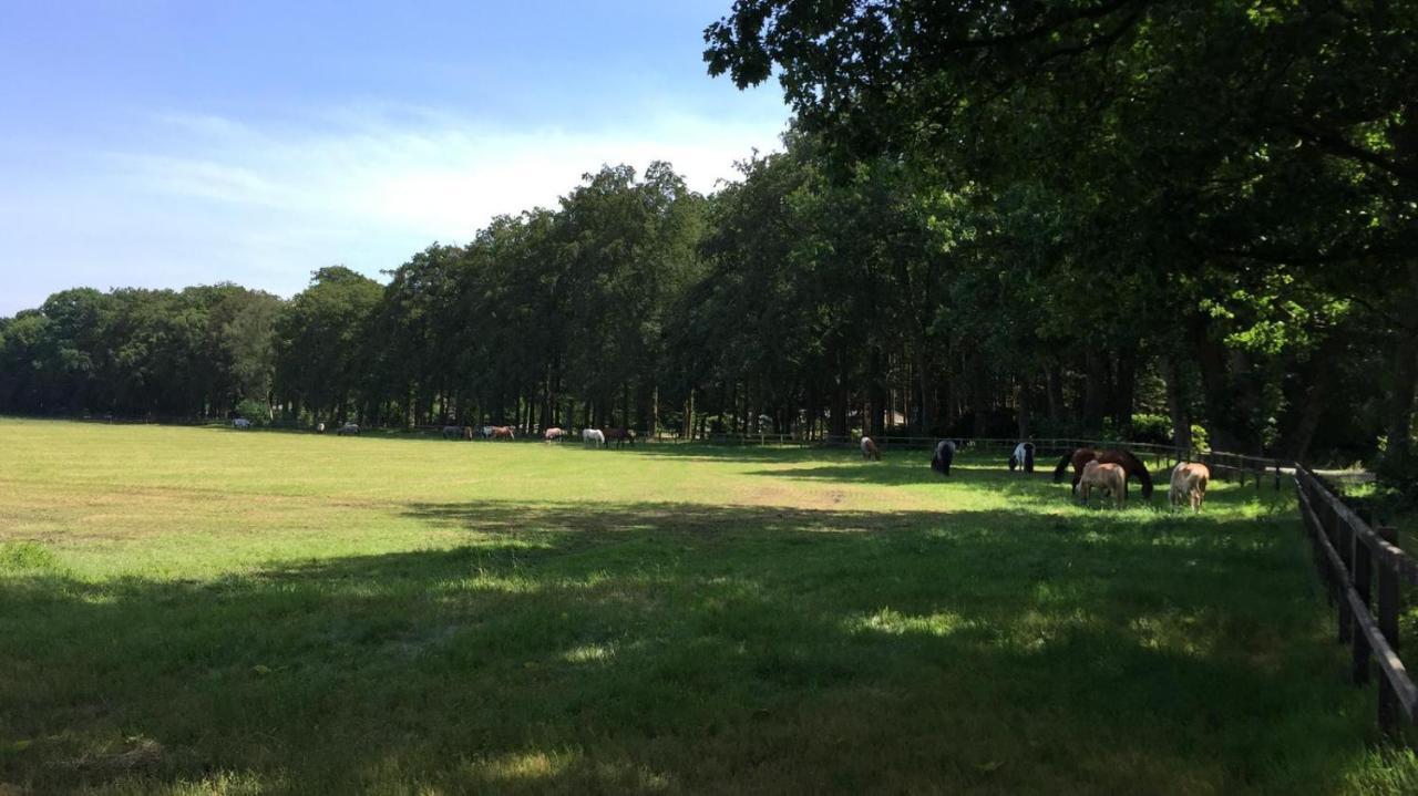 Boerderij De Enkhoeve Laag-Soeren Zewnętrze zdjęcie
