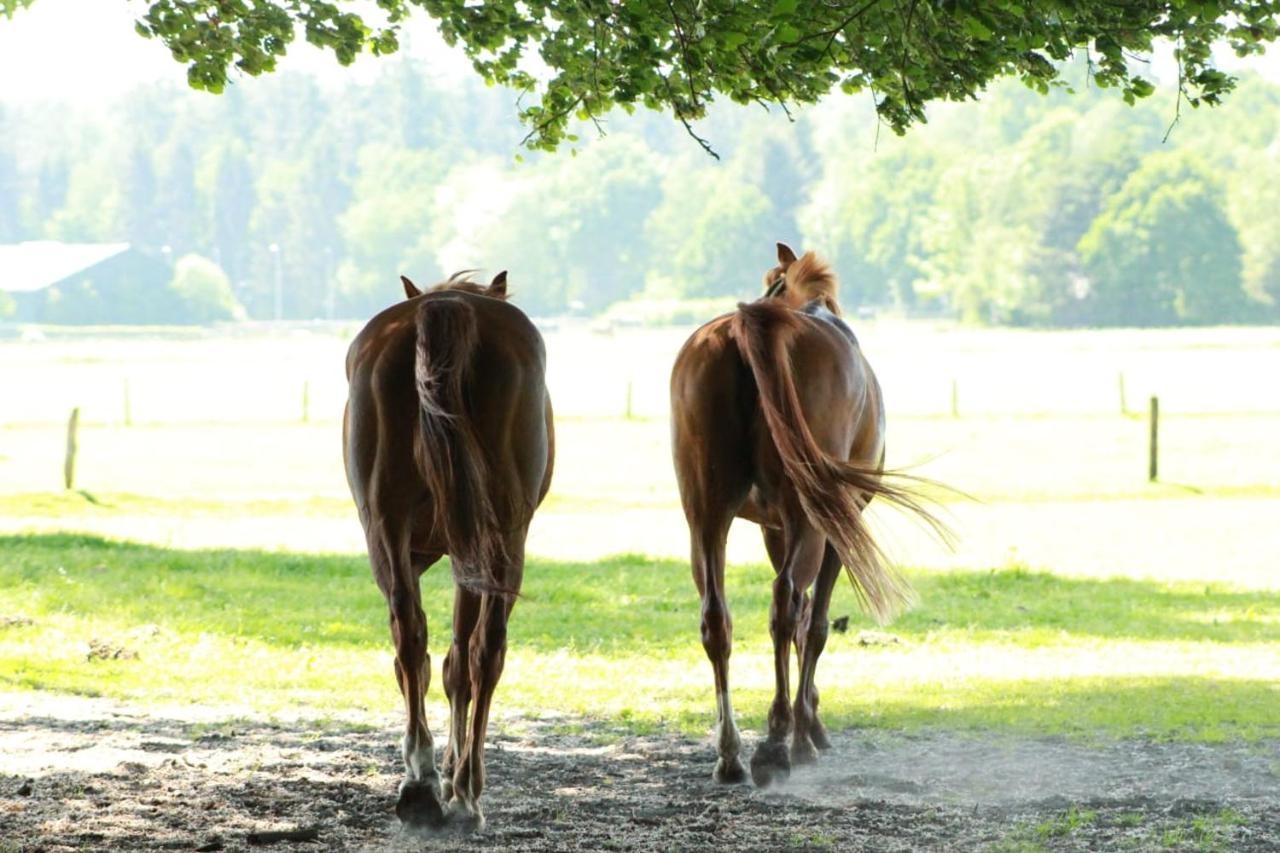 Boerderij De Enkhoeve Laag-Soeren Zewnętrze zdjęcie